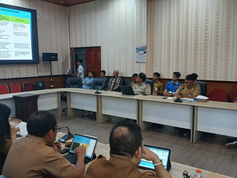 WhatsApp Image 2026-03-31 at 15.51.51